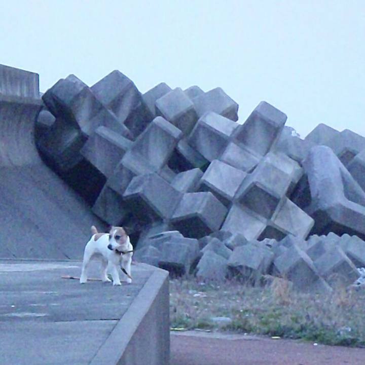 F35b76c1 46b8 4cc8 884d 78718ddd57f1