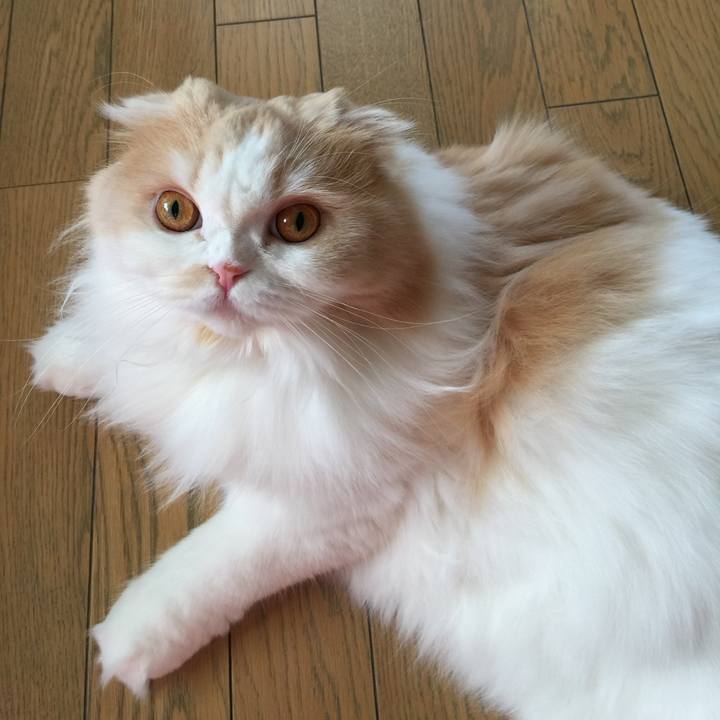 F35bad4f 96e8 4606 87f3 f3c8d62a988c