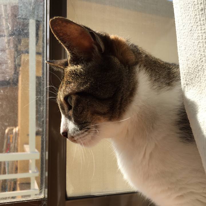 F35bc1ff 475f 40d0 a487 b2df7c228b2c