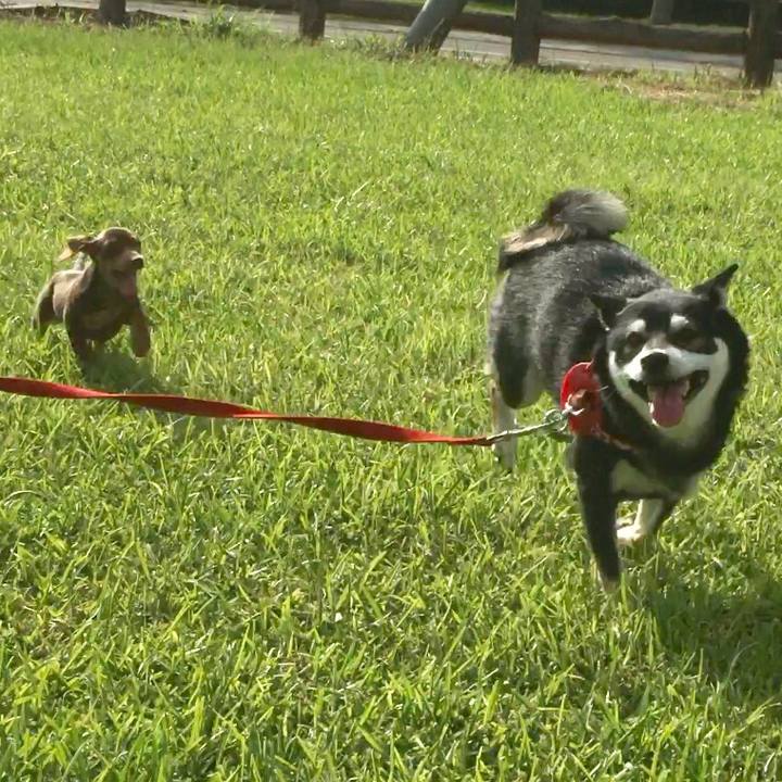 F35c3523 f43e 46d5 8e63 2788ea3f3ce7