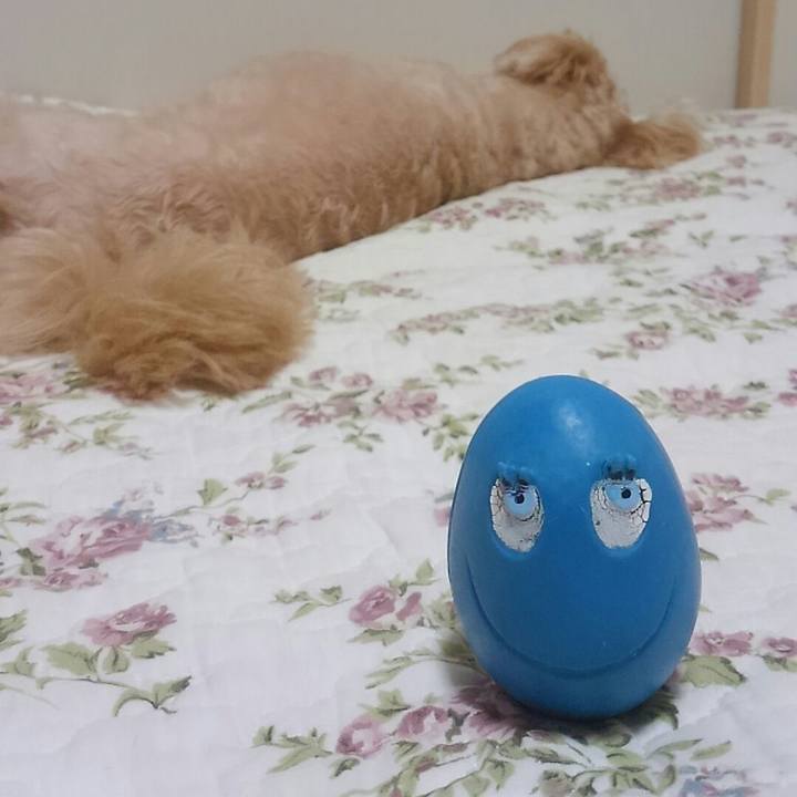 F35c7c39 0e3e 42ac 90b6 40acff0657e7