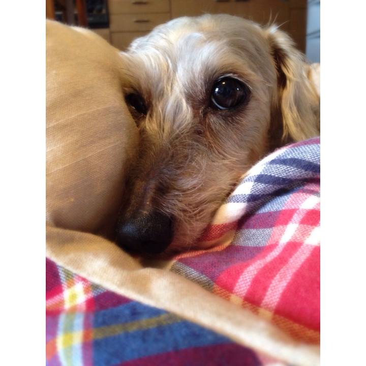 F35c7f26 65ce 4b6e 9a96 122253f3326f