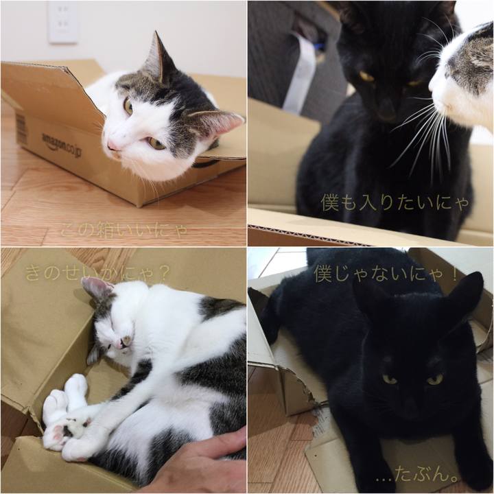 F35ca193 aabd 4e7d 9f75 b4eac0505cb4