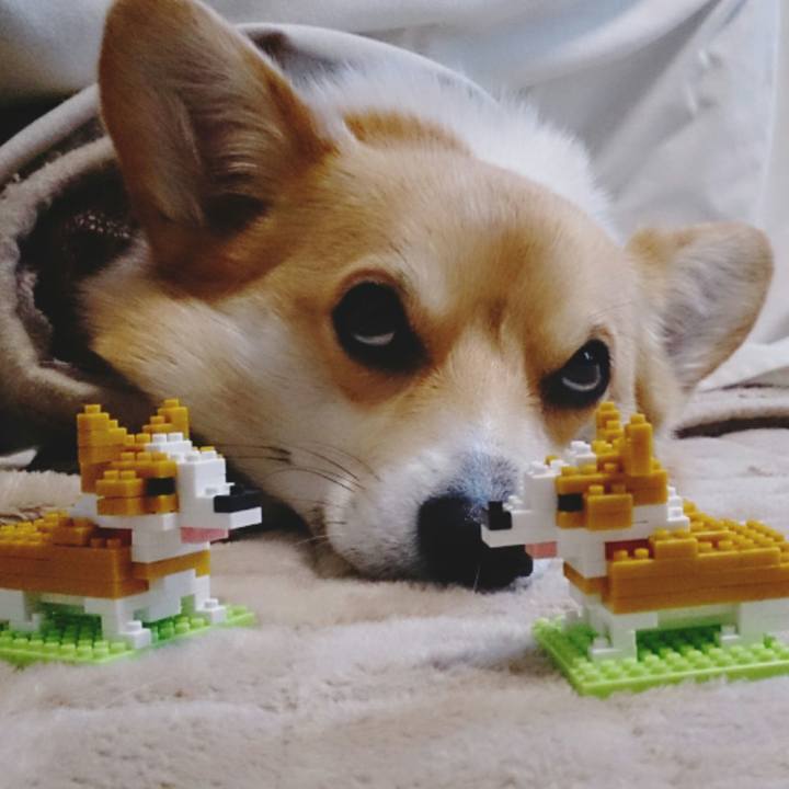 F35d39cc b991 45f5 a639 4e6958912201