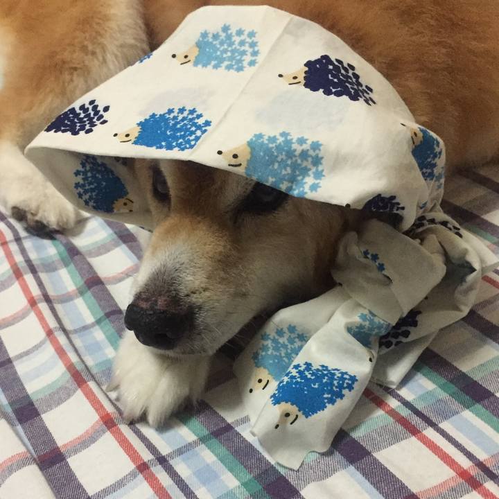 F35d4e2d 5a8c 44df 91d0 f3c048d0153e