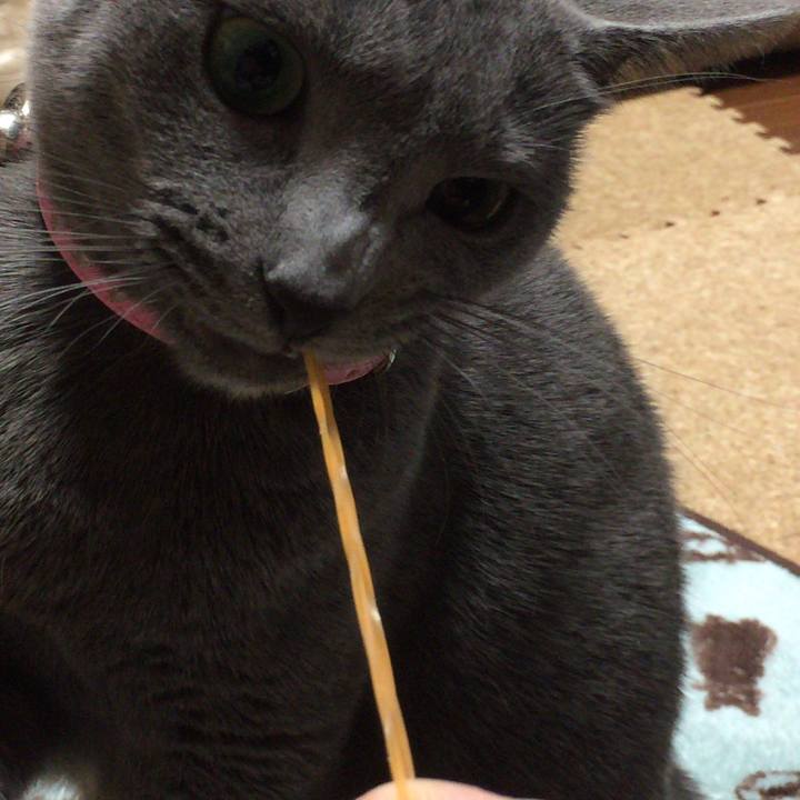 F35d58fd 7f9f 4e68 b1f5 797e94693730