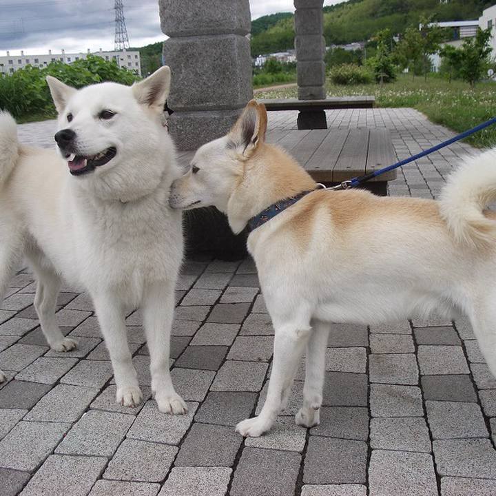 F35d9068 987e 4e0b b3d5 98115b1adb47