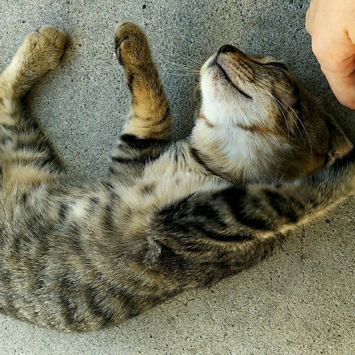 F35dbaea 1f46 4c2b 9b3e 897cd0552b07