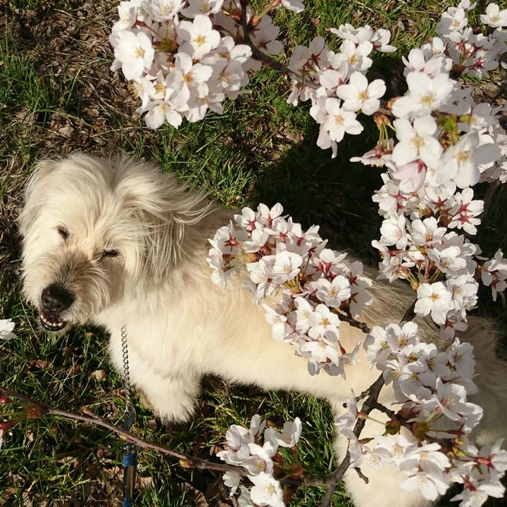 F35e8a19 52d3 4eb7 a0cd 7958b759c5cc