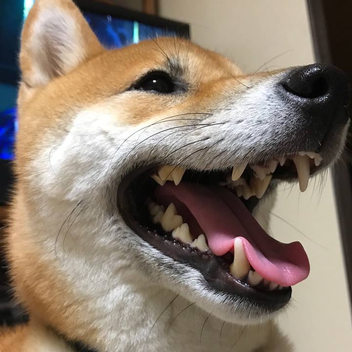 F35e8dac d802 49d1 8e9e dd7a65af4a14