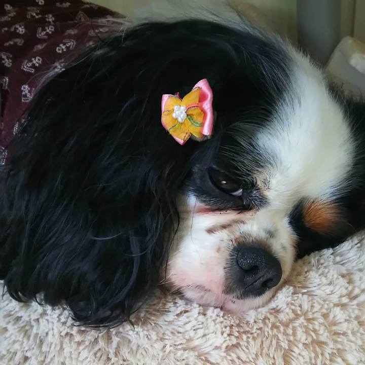 F35fb8c3 d2fb 4d69 a118 ab64c4a09cbe