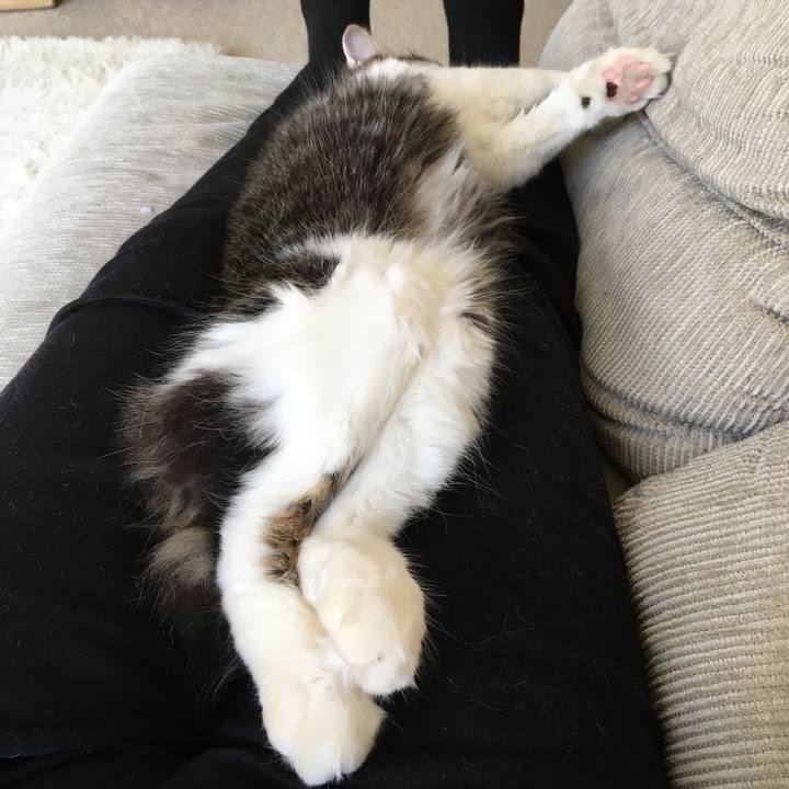 F35fc3e7 5208 4bad b866 d8219771c951