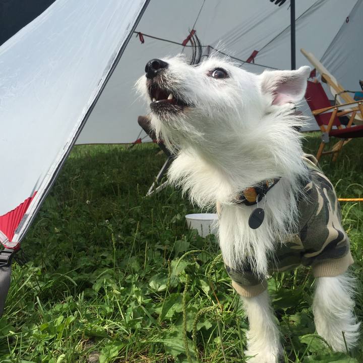 F36015c8 cd21 47a5 bd59 2603bf2ab434