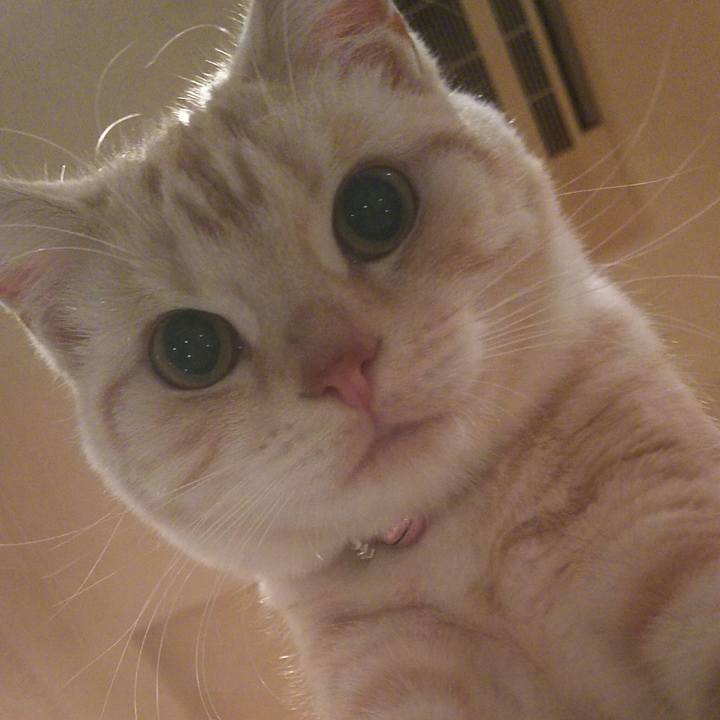 F3603669 6e71 4763 86f6 5a20bb6d7f01