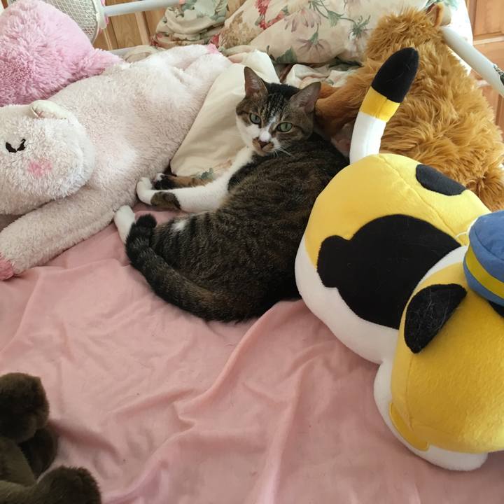 F3614726 9ff7 4451 a87d db9d15623afb