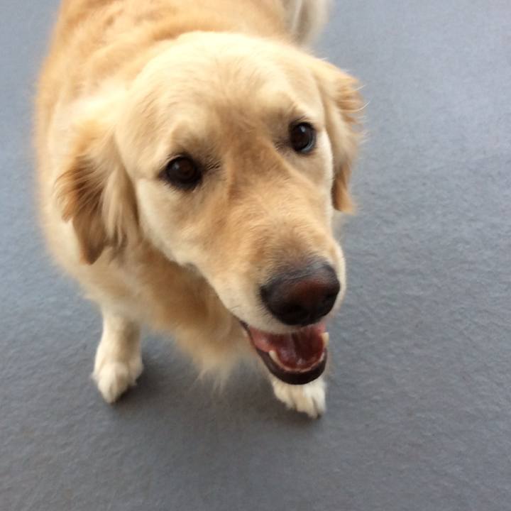 F361a01d 0d5a 43aa 9d02 3d0c9fa062f9