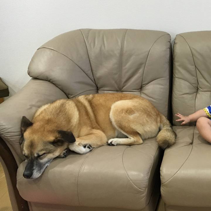 F362a772 cc62 4ad7 bea4 bc48f11b588a