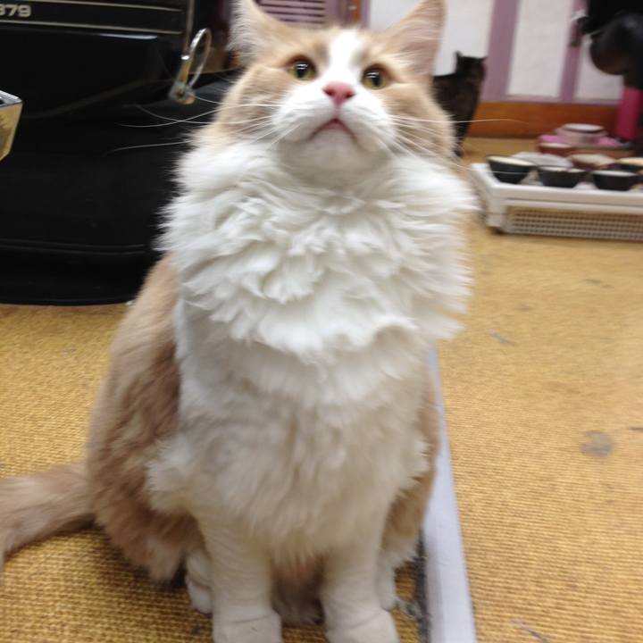 F362d26a 5e60 46ec aea7 d98fd39643db