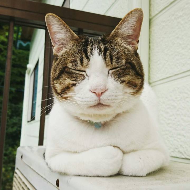 F362edf2 e638 4feb 92b9 b44b9355c17e