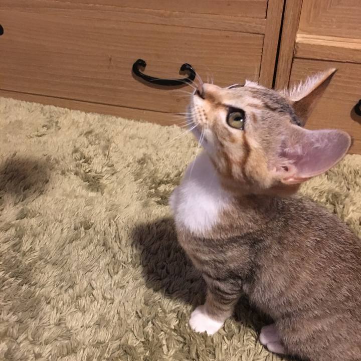 F363246b af30 4b72 ba64 05beeff2fbff