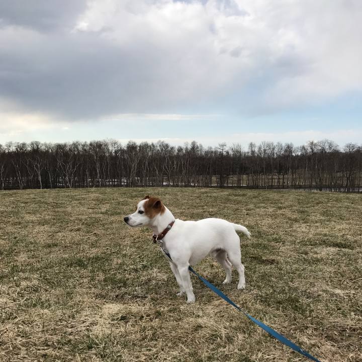 F363a0e8 5fc7 4b1b bf73 a79d73258071