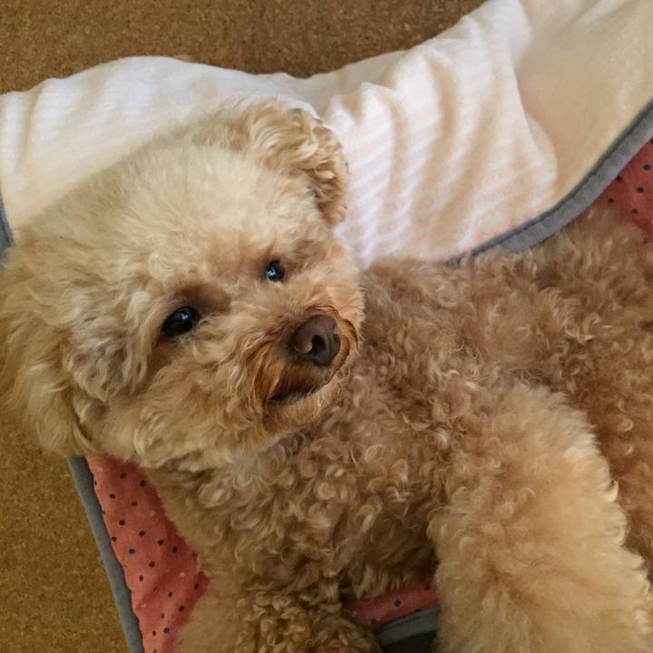 F363c3c1 8bd4 4b2f 85fe 83f1add084c5