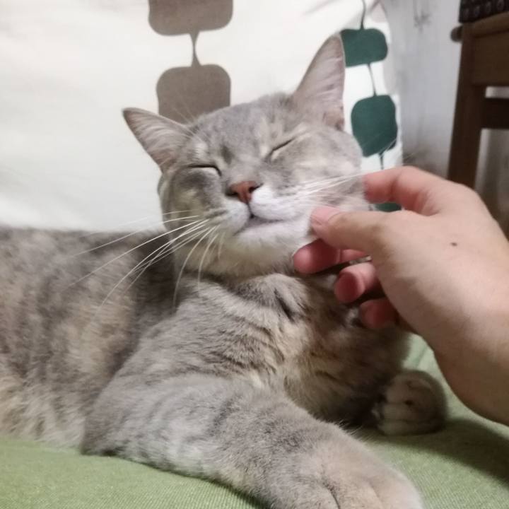 F3646653 5376 4719 8585 24b343756662