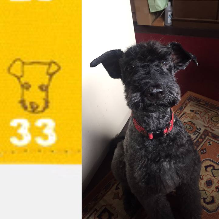 F36480c2 7c33 48cb 9633 c1f2b8ba341b