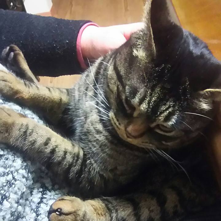 F364c33f 4ba3 475c 9abc 5d227d778a93