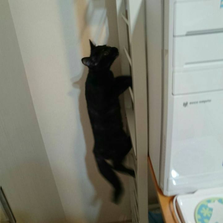 F365244f 0b4d 4b70 89ee 688466b1757b