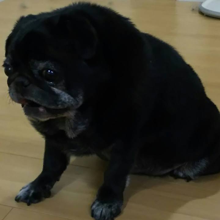 F3653a2e 43c9 457c a9b2 2d436940af74