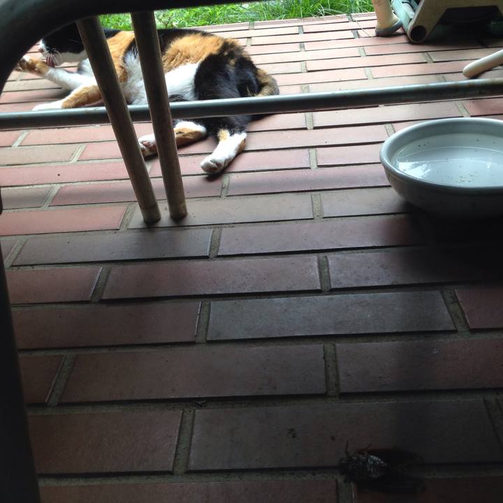 F3661363 8024 44f3 96cc 9365b07bfb31