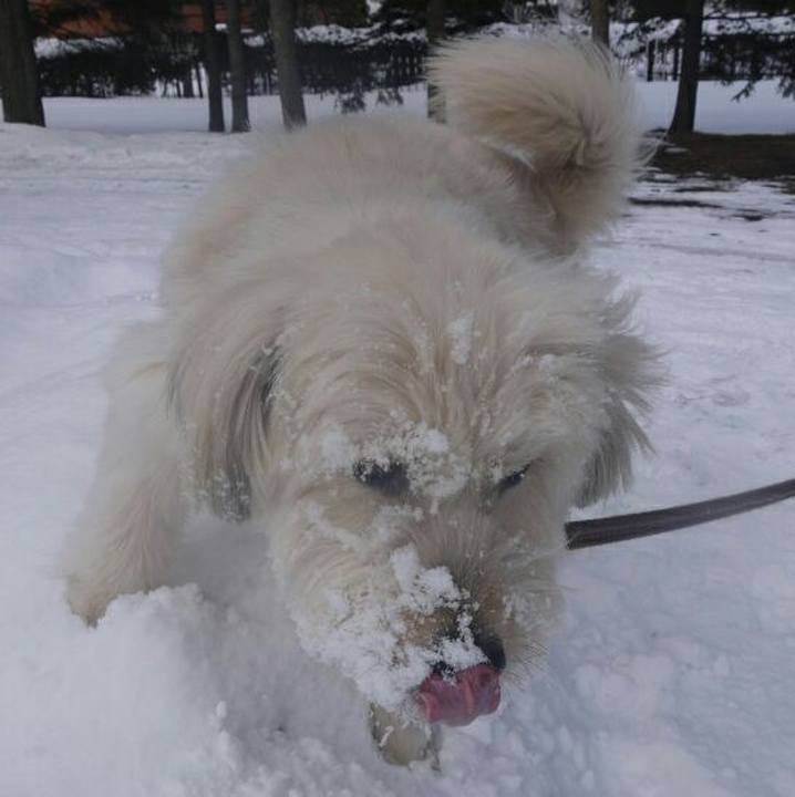 F36628c5 ec59 430b b4fd e687a7e6305b