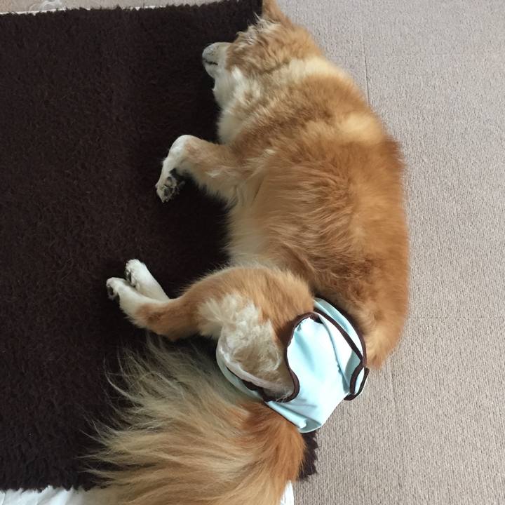 F3662d33 4d8a 4952 bf93 daed37dff02d