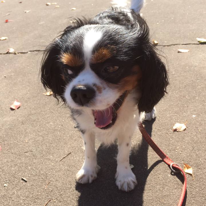 F36670f4 99a9 4ddd 82e6 60a64b8e9270