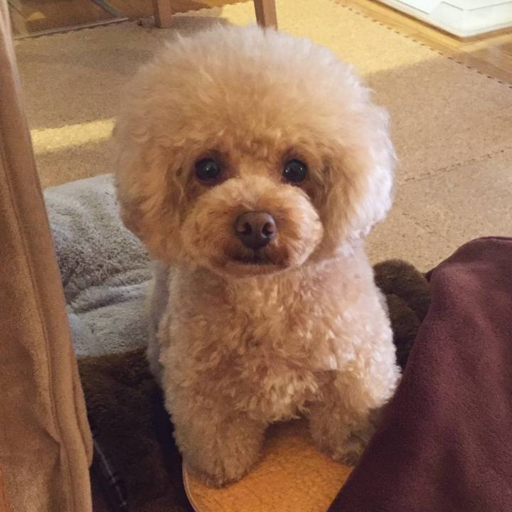 F3667b37 a23f 4a88 aa38 0b77e07cc3c9