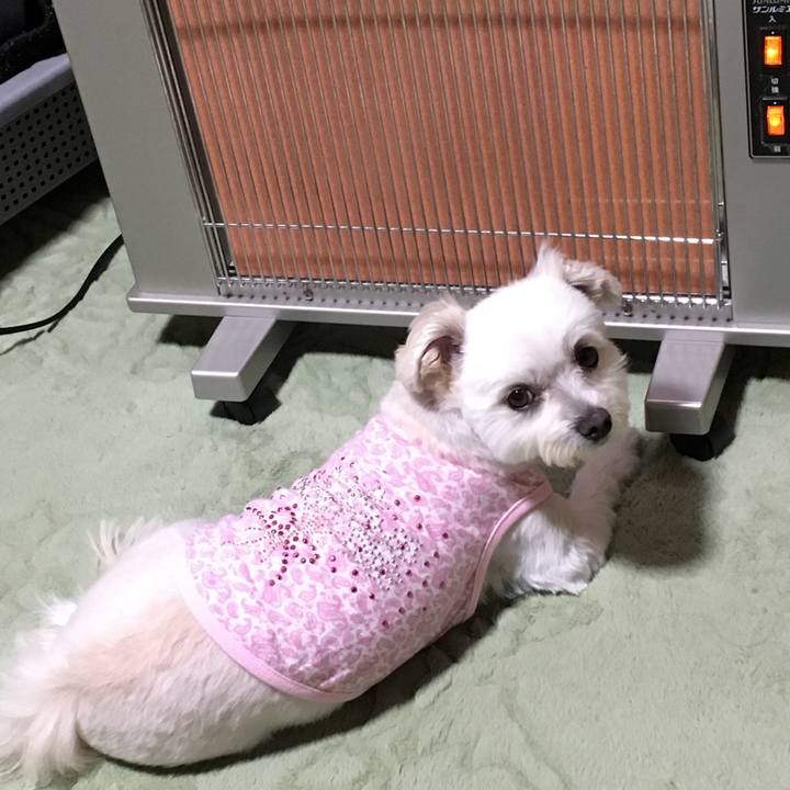 F366cad7 1b59 4fba a971 79efe1a994af