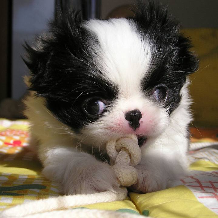 F3670c8f d859 4c2c 8e4f 455f5209de60