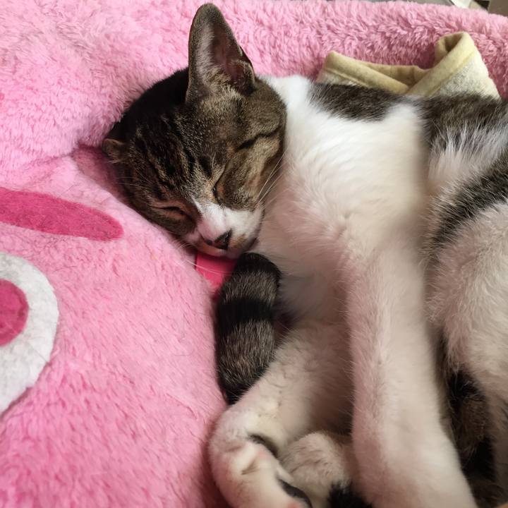 F36727a2 97bf 4dc0 be1a e11df1379fce