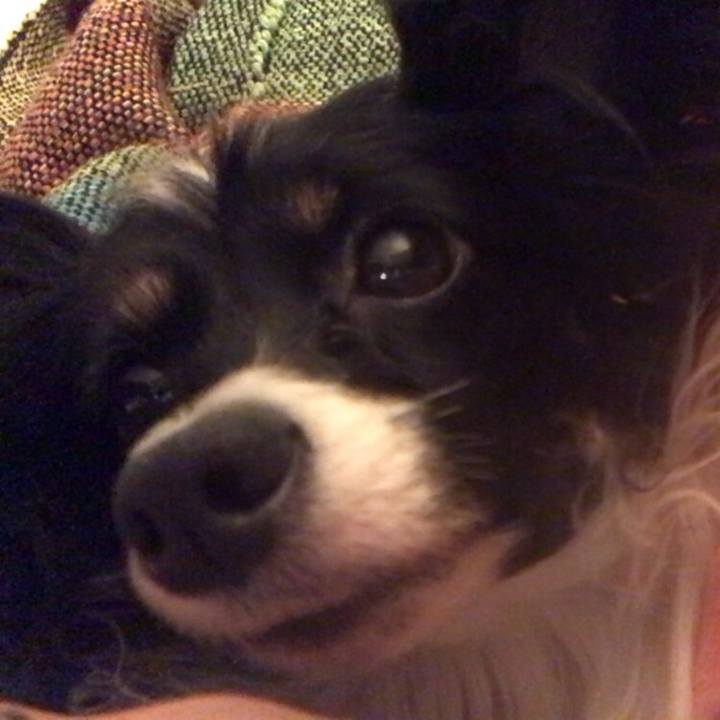 F36771c0 8cf1 48c6 ba89 173e8d2027d2