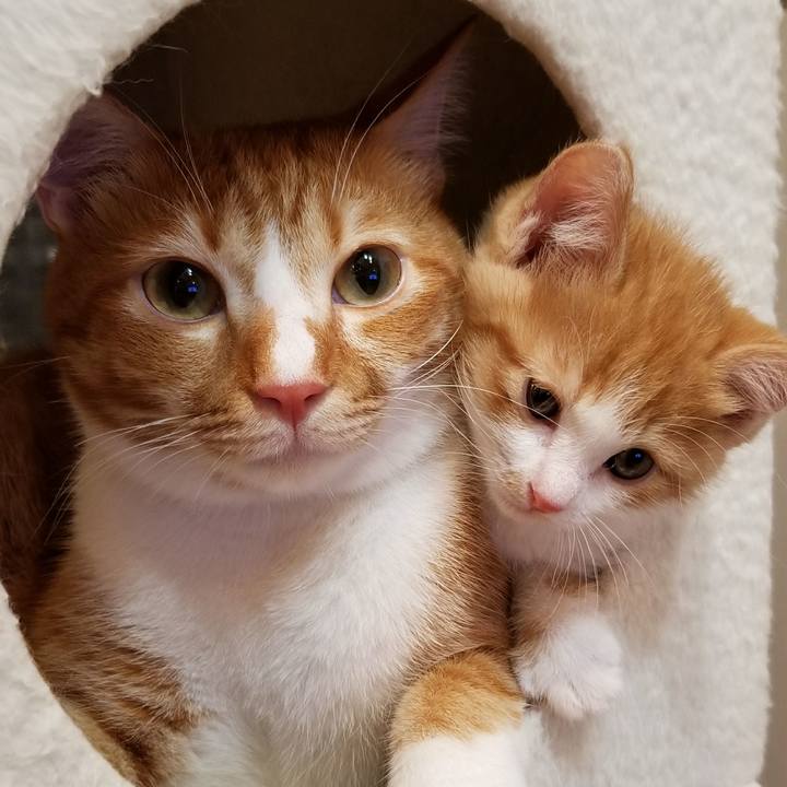 F367bba3 962b 4d13 92db ee0ed089dffb