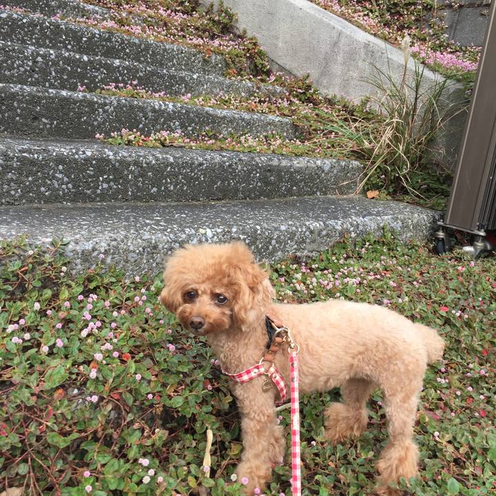 F367c4f6 939f 4c6d 98c5 f5f9f28f8c74