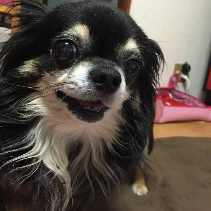 F36849d8 54b5 49ff bee7 a56ba3d1305b