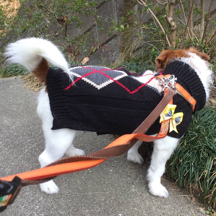 F3684b32 f06f 46c2 a6b3 aa11cba7fa57