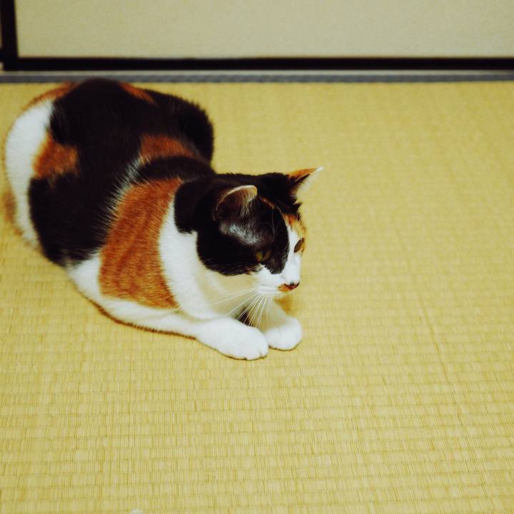 F368a8f1 3a8a 4356 9e68 26745f574510