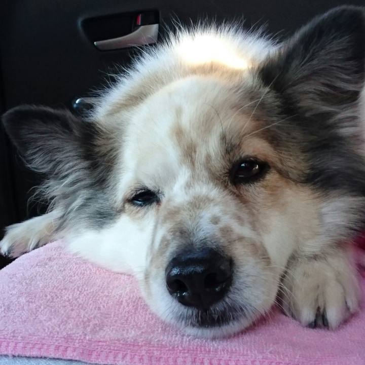 F36919be bfd2 40ed 8ac3 1299bb915769