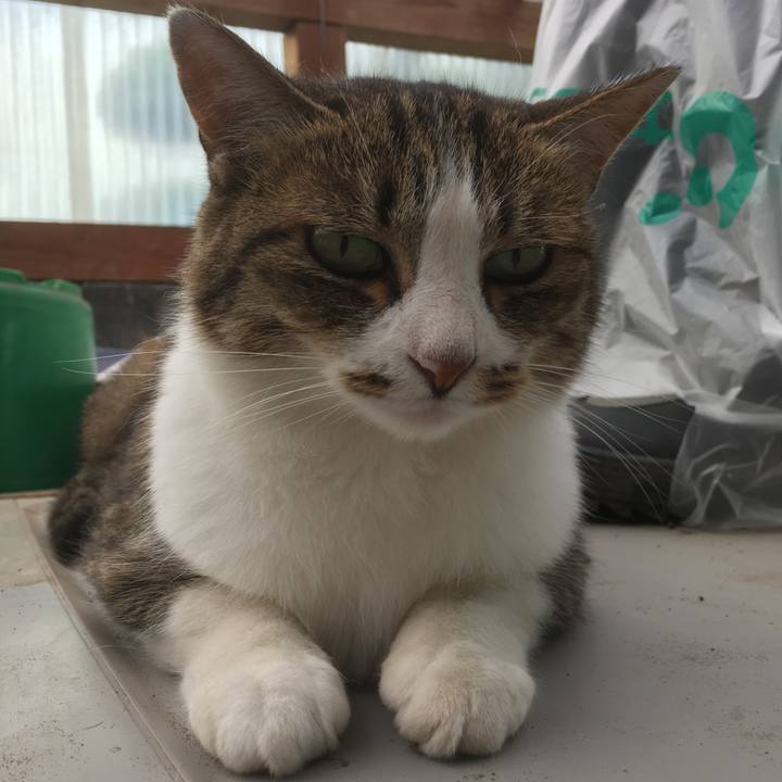 F36962ef 10bd 45a6 ac36 cf183fb036d7