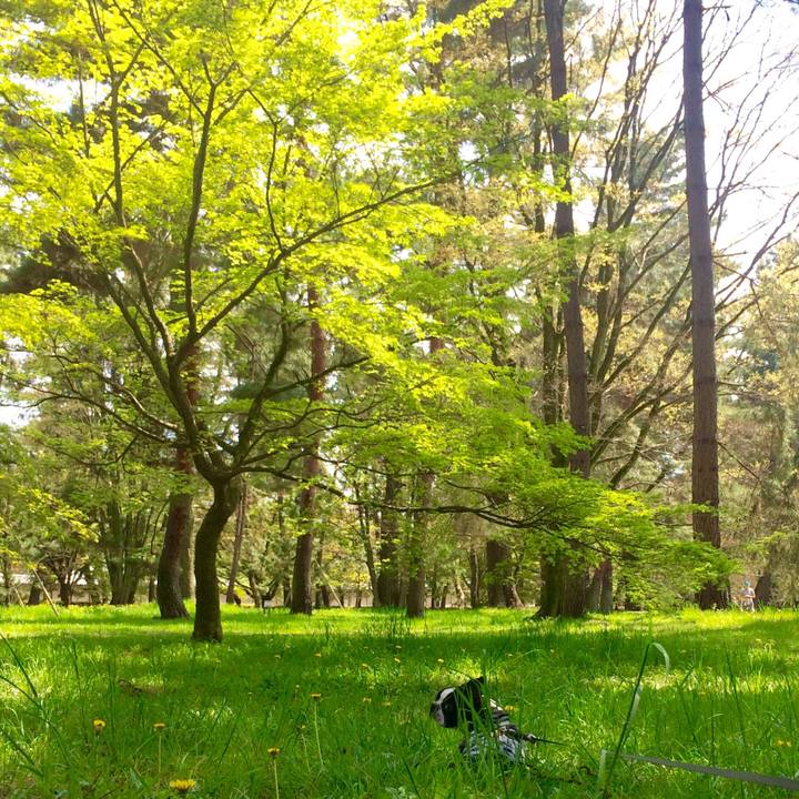 F36a0c6e 53a8 4e21 85dd f2fe6cf839c7