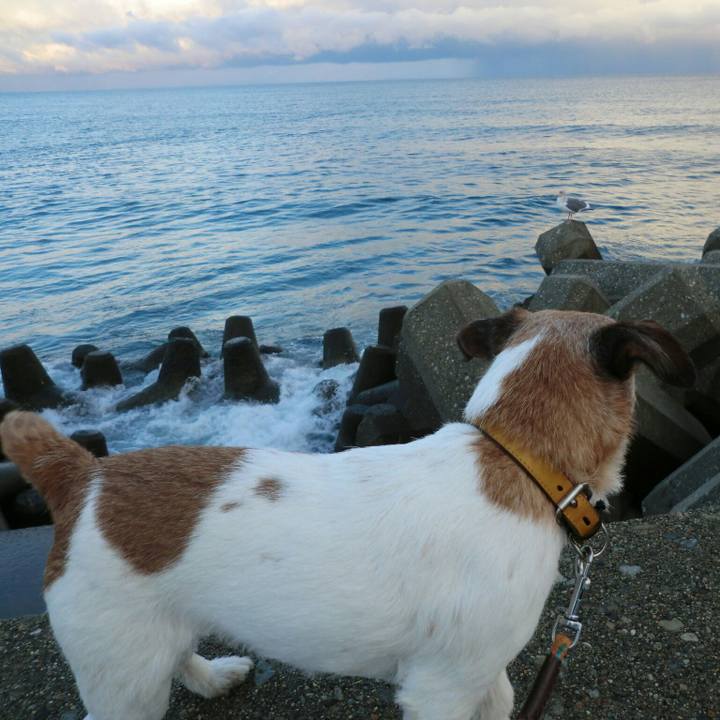 F36a4eaa 08e5 46d2 8fa9 b6bfef5f06b7