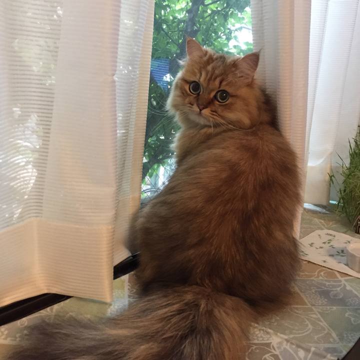 F36ac348 ce79 4ecf b3ac 6ba070f87427